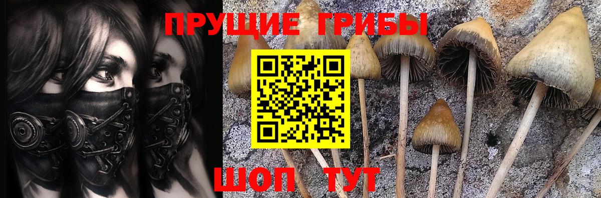 Псилоцибиновые грибы ЛСД  Вход с VPN  Тула 